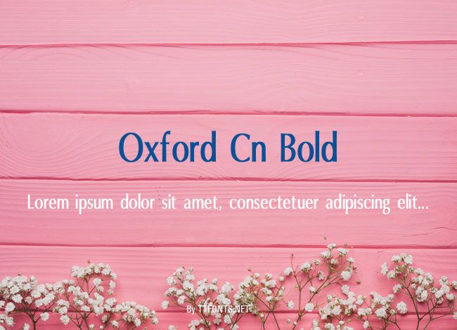 Oxford Cn Bold example
